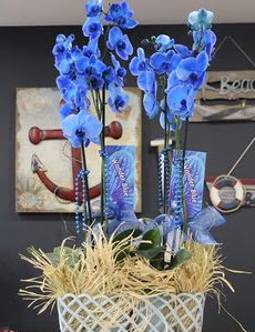 4 dall zel mavi orkide  istanbul tuzla iek servisi , ieki adresleri 