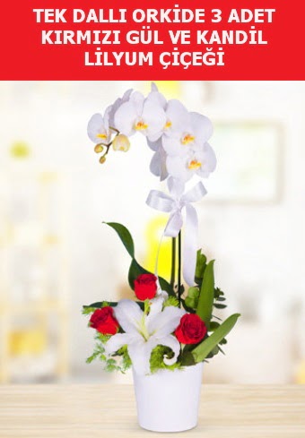 Tek dall orkide 3 gl ve kandil lilyum  istanbul pendik iek ve pasta sat grsel hediyelik sunar 0 - 216 - 3860018