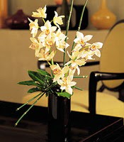  istanbul esenler online ieki , iek siparii  cam yada mika vazo ierisinde dal orkide