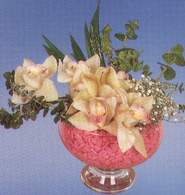  istanbul 14 ubat sevgililer gn iek siparii verin mutlu edin  Dal orkide kalite bir hediye